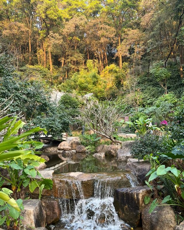 雲蘿植物園，夢幻植物世界等你來探索！