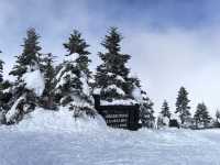 Explore the Dynamic Skiing Experience at Shiga Kogen Ski Resort in Nagano