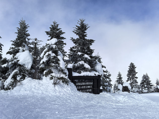 Explore the Dynamic Skiing Experience at Shiga Kogen Ski Resort in Nagano