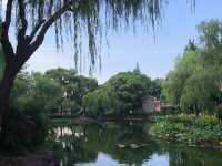 寧波月湖公園 | 宛如仙境的城市綠洲
