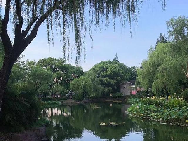 寧波月湖公園 | 宛如仙境的城市綠洲
