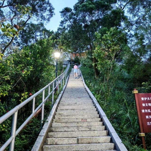 珠海板樟山：1999級臺階的歷史見證