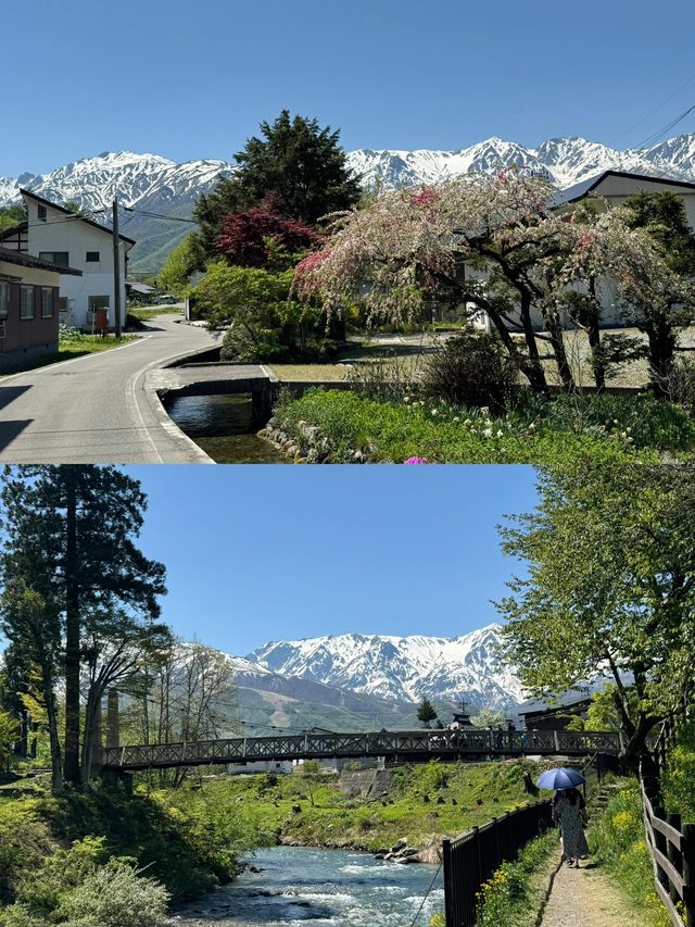 邂逅白馬市：柬埔寨的悠然之境