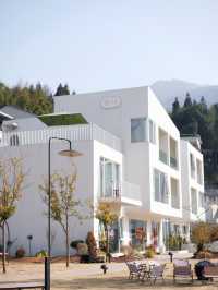 《瑞安山腳下的寶藏民宿：聽泉宿野》