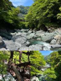 探秘德島：揭開小眾寶藏地的夢幻面紗