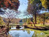 東京都特別名勝-六義園