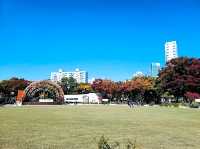 陽川公園
