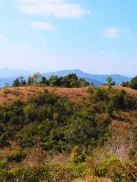 寒假去五指山超詳細攻略快碼住