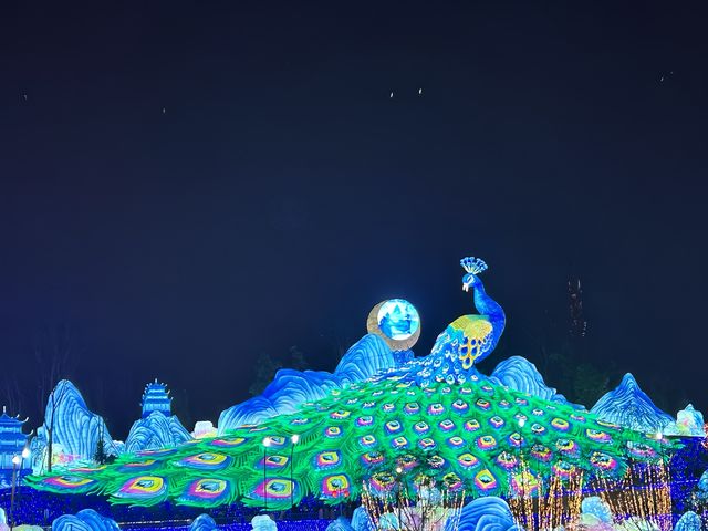 沒有看過自貢燈會的春節是不完整的