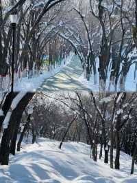 烏魯木齊的江南水鄉/ 水磨溝公園