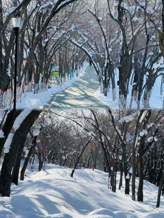 烏魯木齊的江南水鄉/ 水磨溝公園