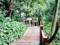 XiQiao Mountain: Evergreen Realm of Guanying Goddess