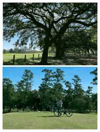誤入休斯頓綠野仙蹤，赫曼公園全攻略。