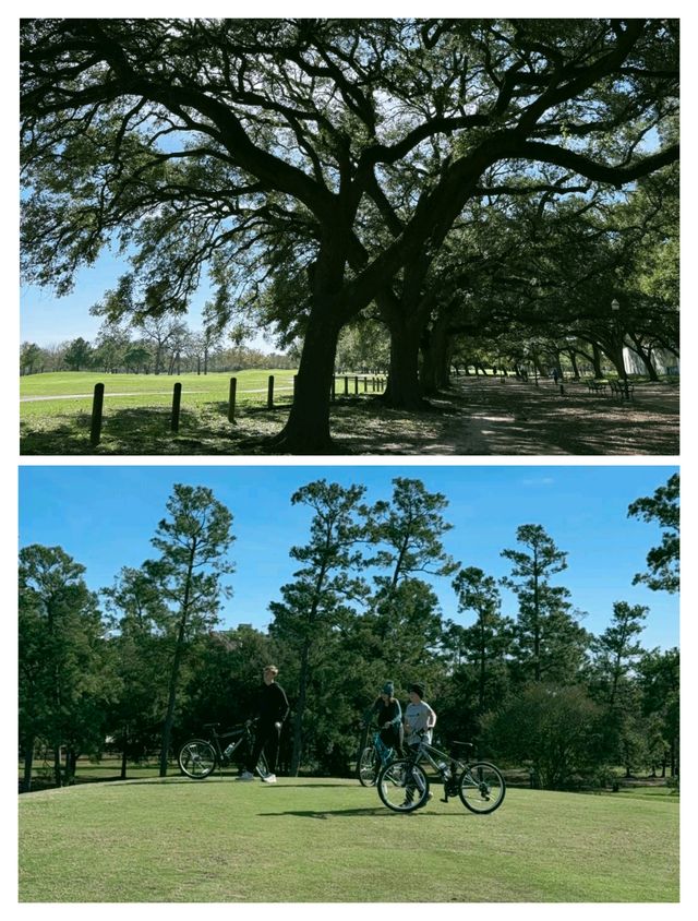 誤入休斯頓綠野仙蹤，赫曼公園全攻略。