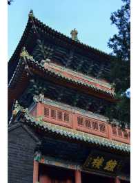 6日穿越河南鄭州-洛陽-開封 玩轉熱門景點