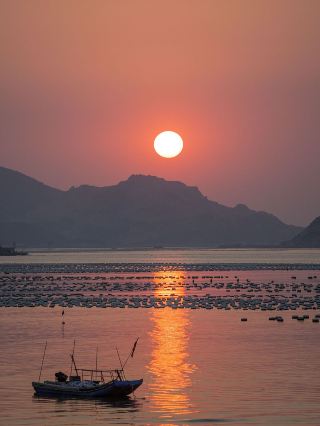 겨울 방학 광동성 차오산과 산밍 6일 여행 두 도시 완벽 투어