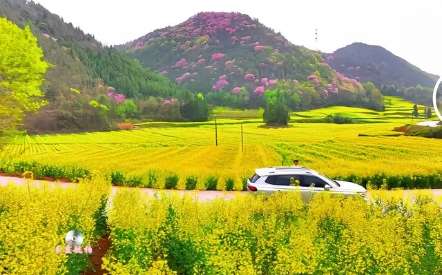 西安春日賞花全攻略 | 8個浪漫花海打卡地
