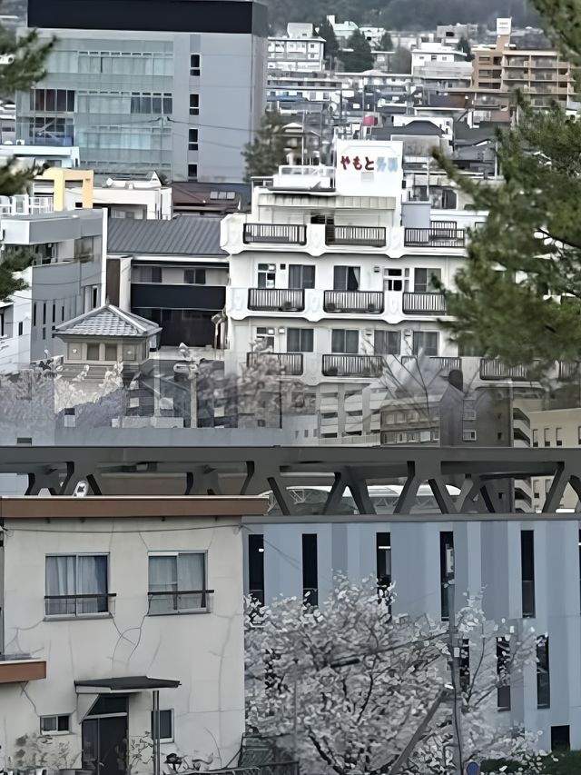 甲府—富士山麓的歷史華章