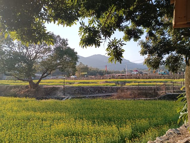 踏春踏青，大地回春，萬物復甦
