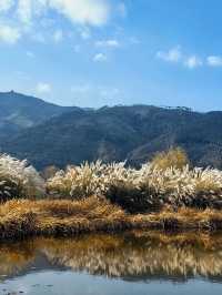 美國寒假5日暢遊無負擔