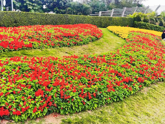 遊覽後海中心河公園