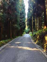 什邡-神瀑溝