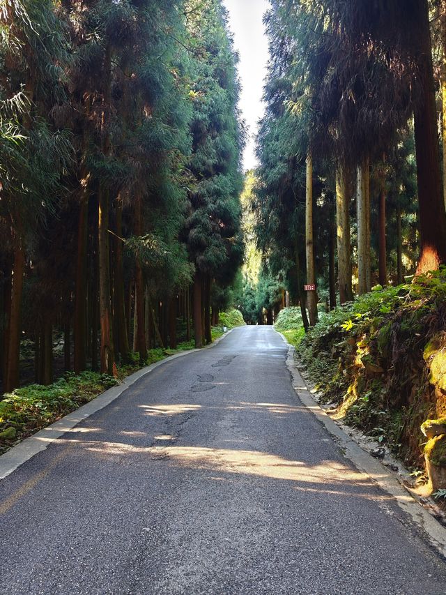 什邡-神瀑溝