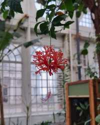 邂逅威廉姆森公園，解鎖蘭卡斯特的浪漫與寧靜
