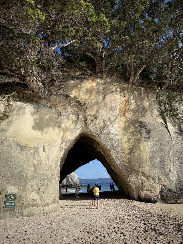 Welcoming The New Year At The Stunning Cathedral Cove
