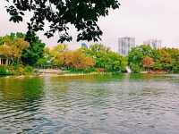 Lichee Bay Area: Brightness and Beauti of Guangzhou