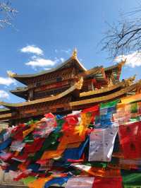 雲南-普達措國家公園｜2日暢玩不踩雷超全攻略