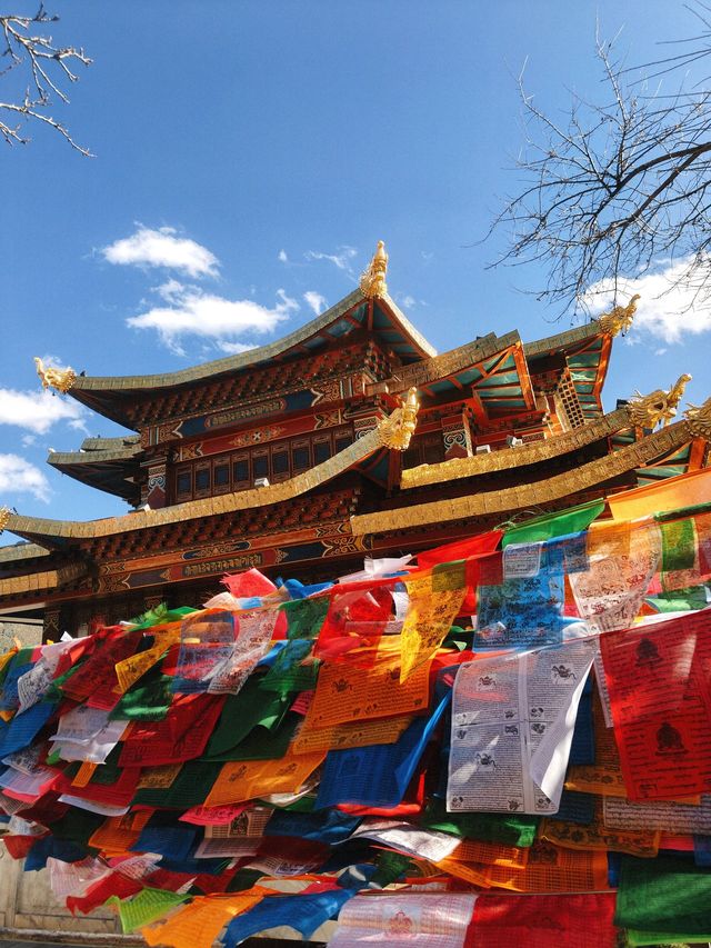 雲南-普達措國家公園｜2日暢玩不踩雷超全攻略