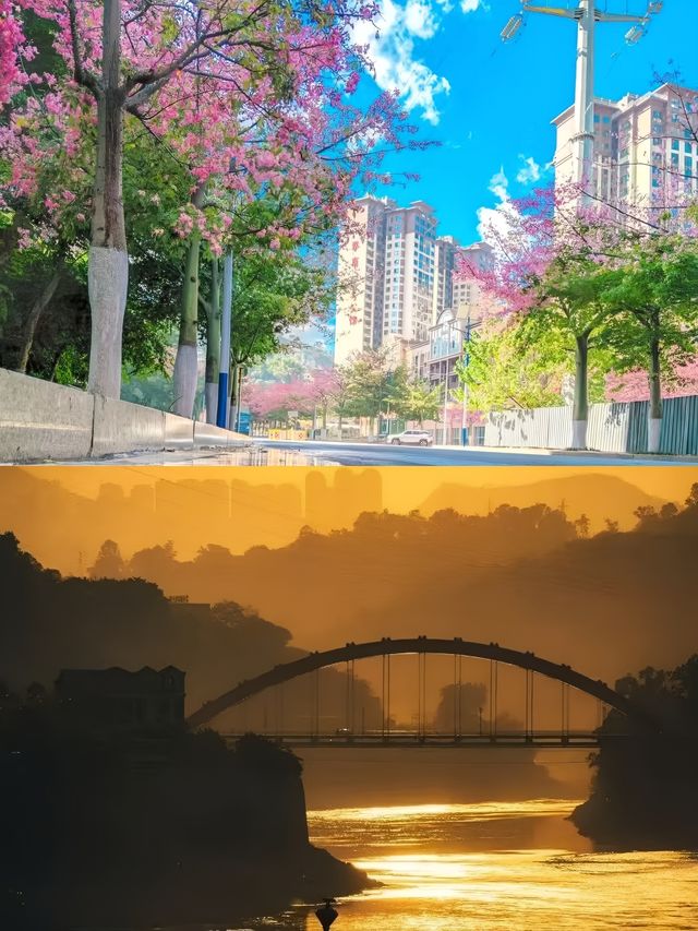 3月的攀枝花，簡直係人間理想。