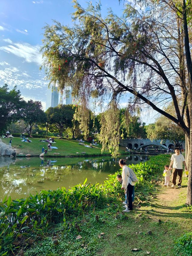 深圳最適合帶小朋友捉魚釣魚的公園