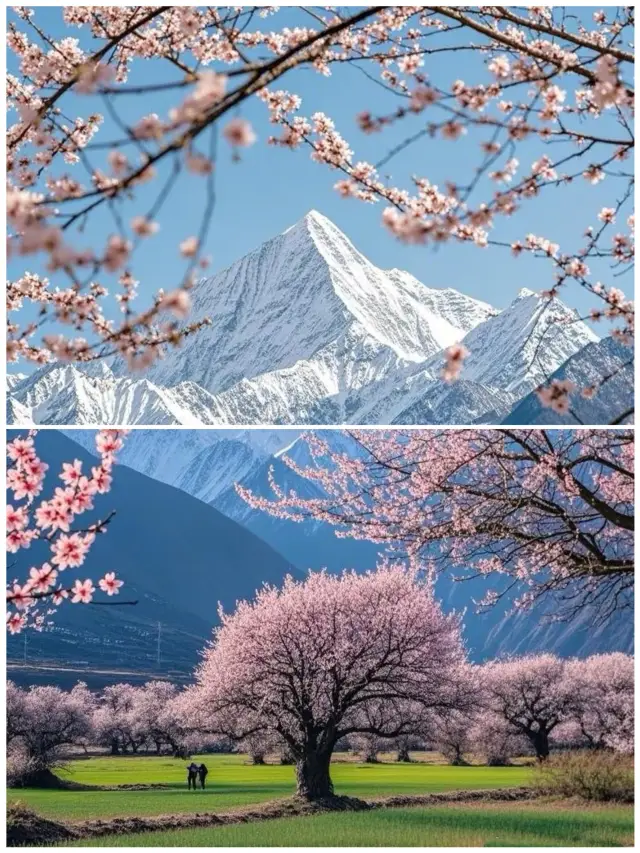 三月出走計劃｜最適合去的7個城市攻略