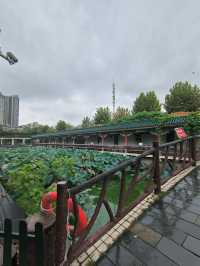 虔誠寧靜的心——長沙開福寺祈福之旅