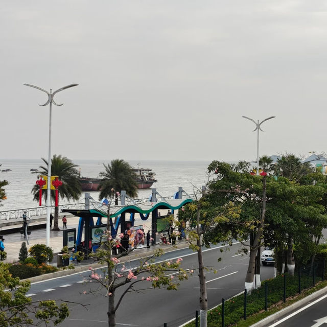 在珠海，邂逅春日限定浪漫花海長廊