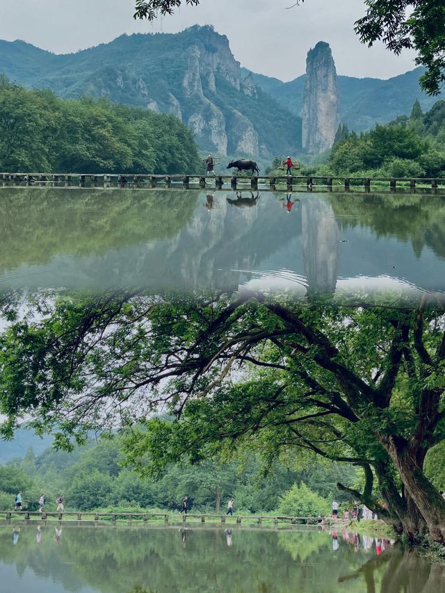 浙江周邊遊｜《與鳳行》取景地，縉雲仙都遊