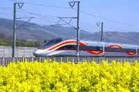 邂逅古韵与生機交織——陝西兩日遊（二）。