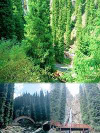 新疆烏魯木齊周邊遊——南山牧場旅遊攻略