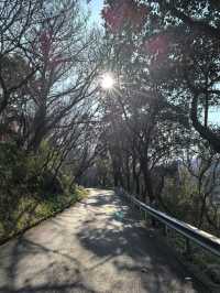冇人錫就去行山！行完周身痛（蘇州版）
