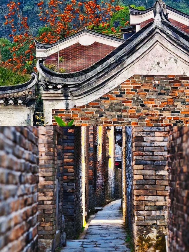 「千年古村上甘棠，時光裡的世外桃源」