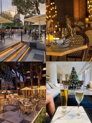 Auckland|A Home Away From Home Experience