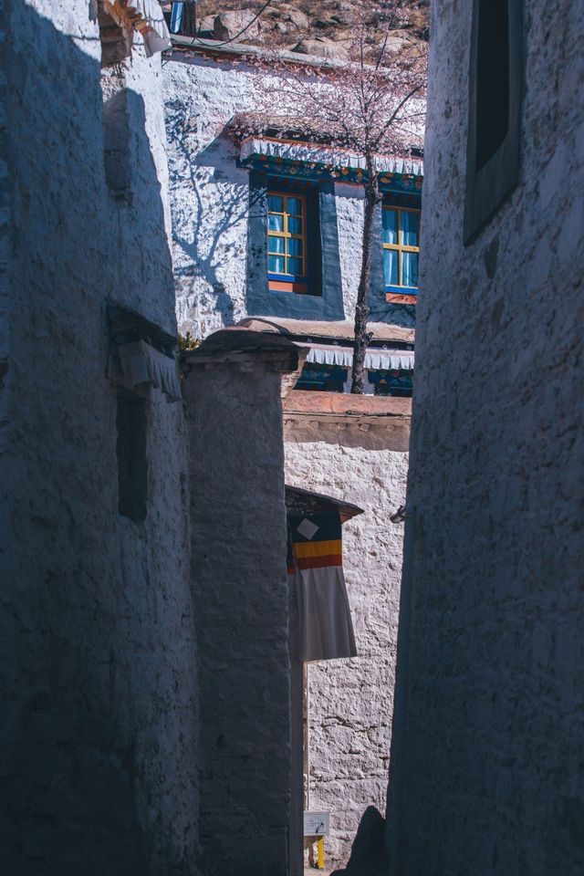 哲蚌寺，一座來了就不想走的寺廟