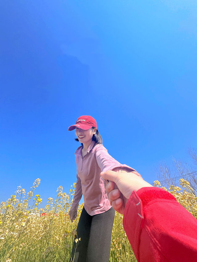 上海｜免費的油菜花也太好看了
