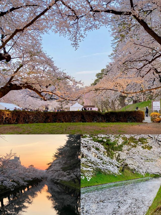 日本青森