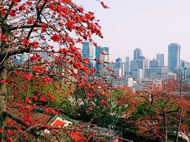 Zhongshan Museum: A History of Whole Pearl River Delta Region at One Glance 