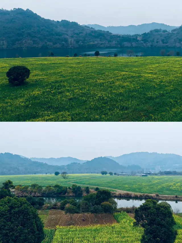 A 3-Day Getaway to Hangzhou: Embrace the Spring