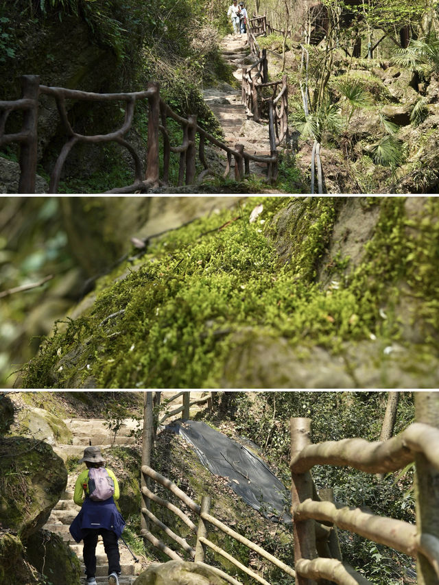什邡仙居山 | 仲會二刷嘅吸氧徒步地