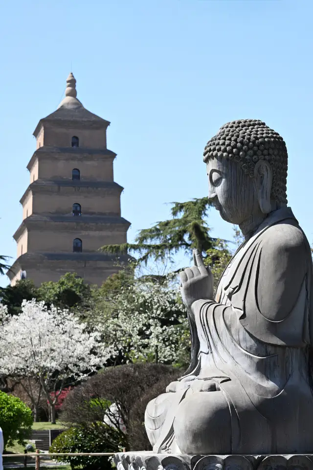 A Complete Guide to Spring Flower Viewing & Photo Spots Around the Giant Wild Goose Pagoda
